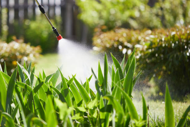Tamper-Resistant Bait Stations for Rodents in Teaticket