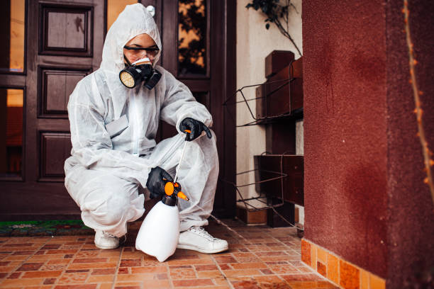 Attic and Crawl Space Rodent Treatment in Teaticket