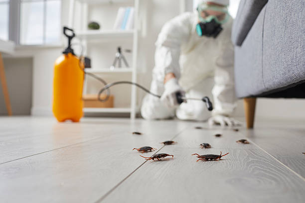 Commercial Rodent Management in Teaticket